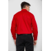 Сорочка чоловіча з принтом, колір червоний, 214R16111-1 6XL, 60, 6XL