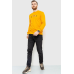 Світшот чоловічий демісезонний, колір помаранчевий, 208R0204 XL, 50, XL