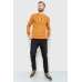 Світшот чоловічий демісезонний, колір коричневий, 208R0204 XL, 50, XL