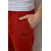 Спортивні штани чоловічі на флісі, колір теракотовий, 238R57256-1 XL, 50, XL
