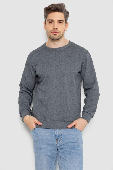 Світшот чоловічий утеплений, колір сірий, 242R054 XXL, 52, XXL